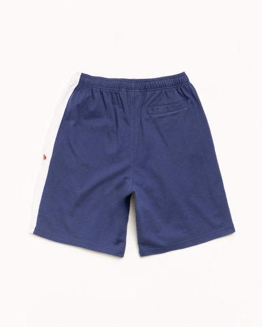 STUSSY STRIPE JERSEY SHORT BLUE