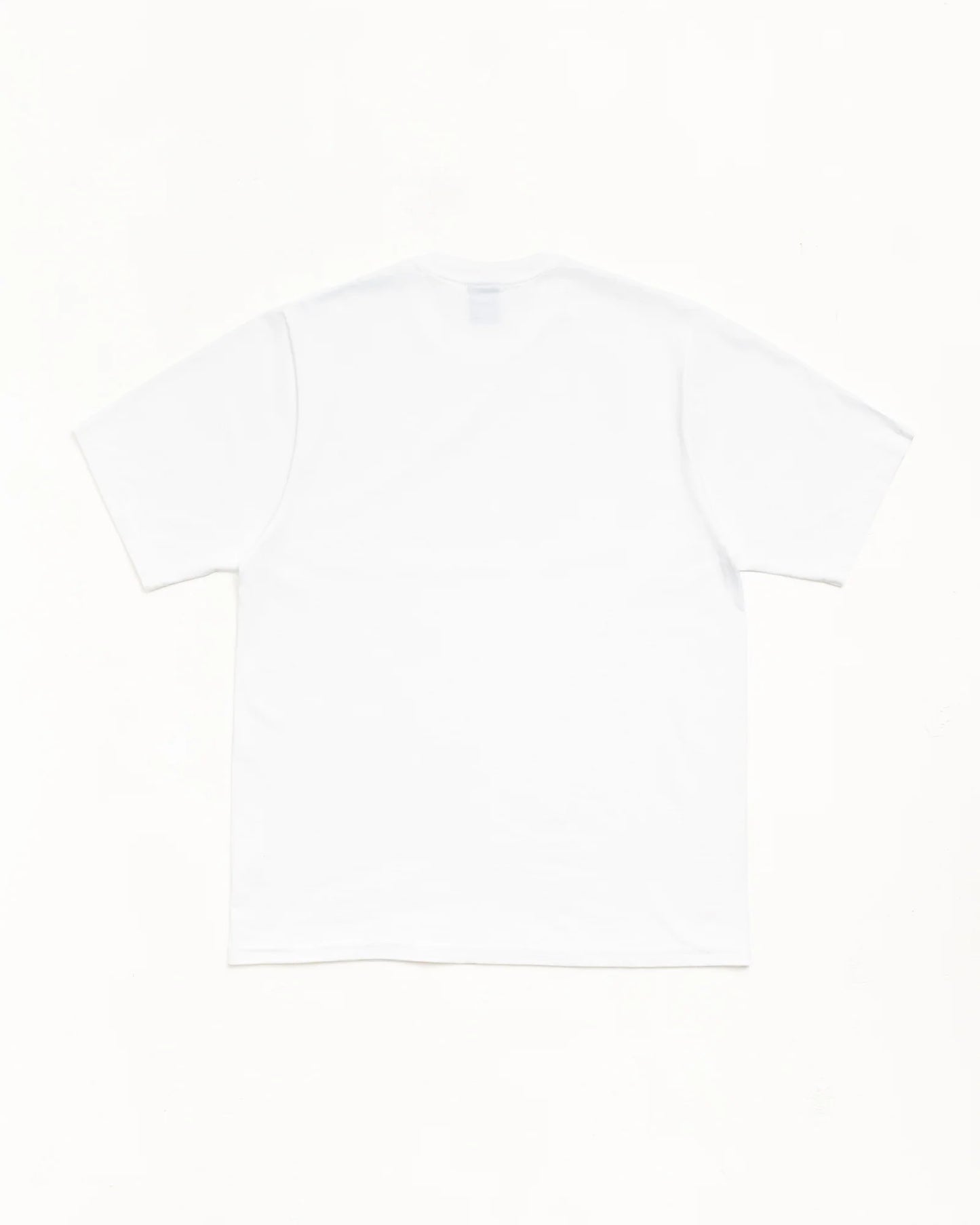 STUSSY CITRUS TEE