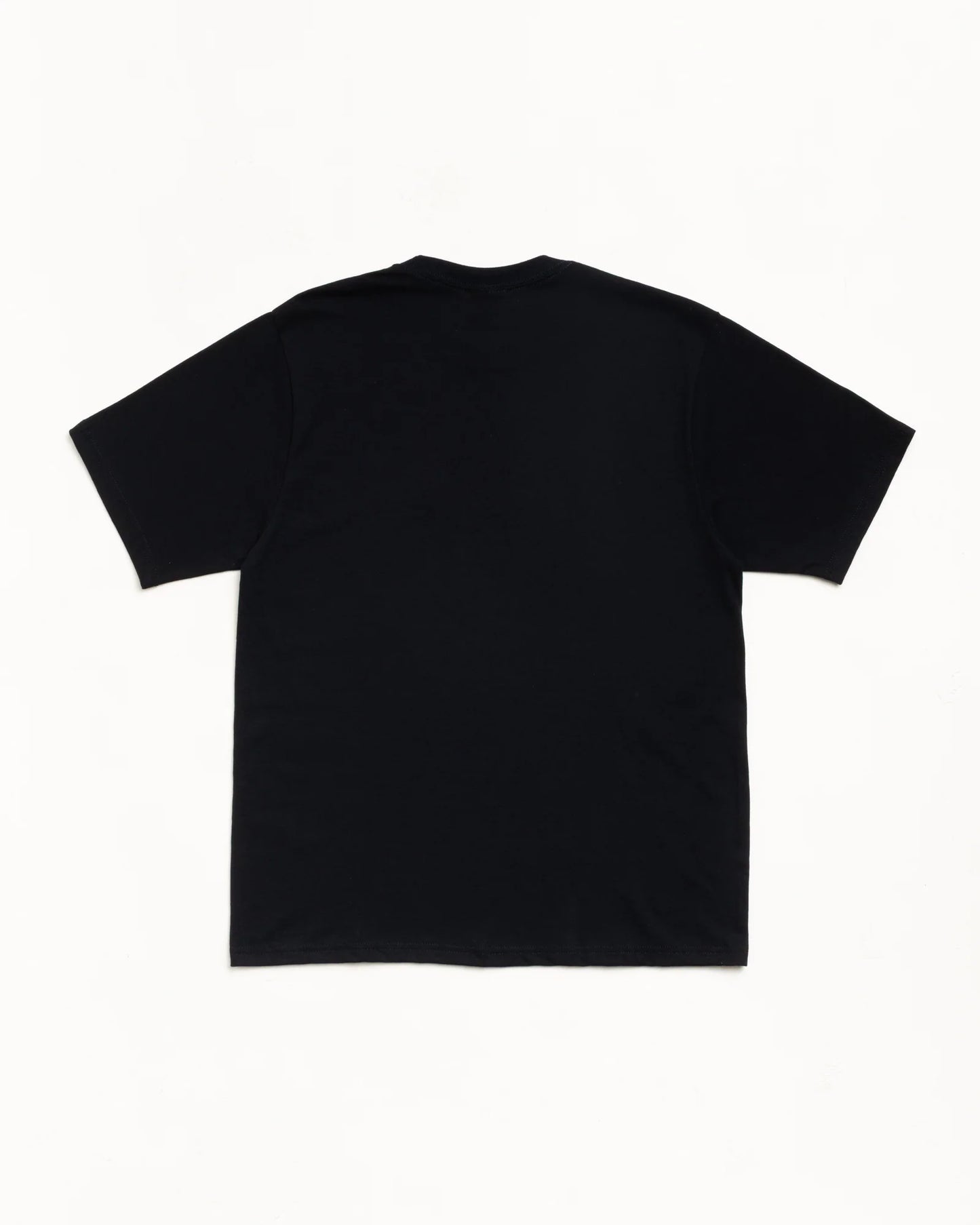STUSSY CITRUS TEE