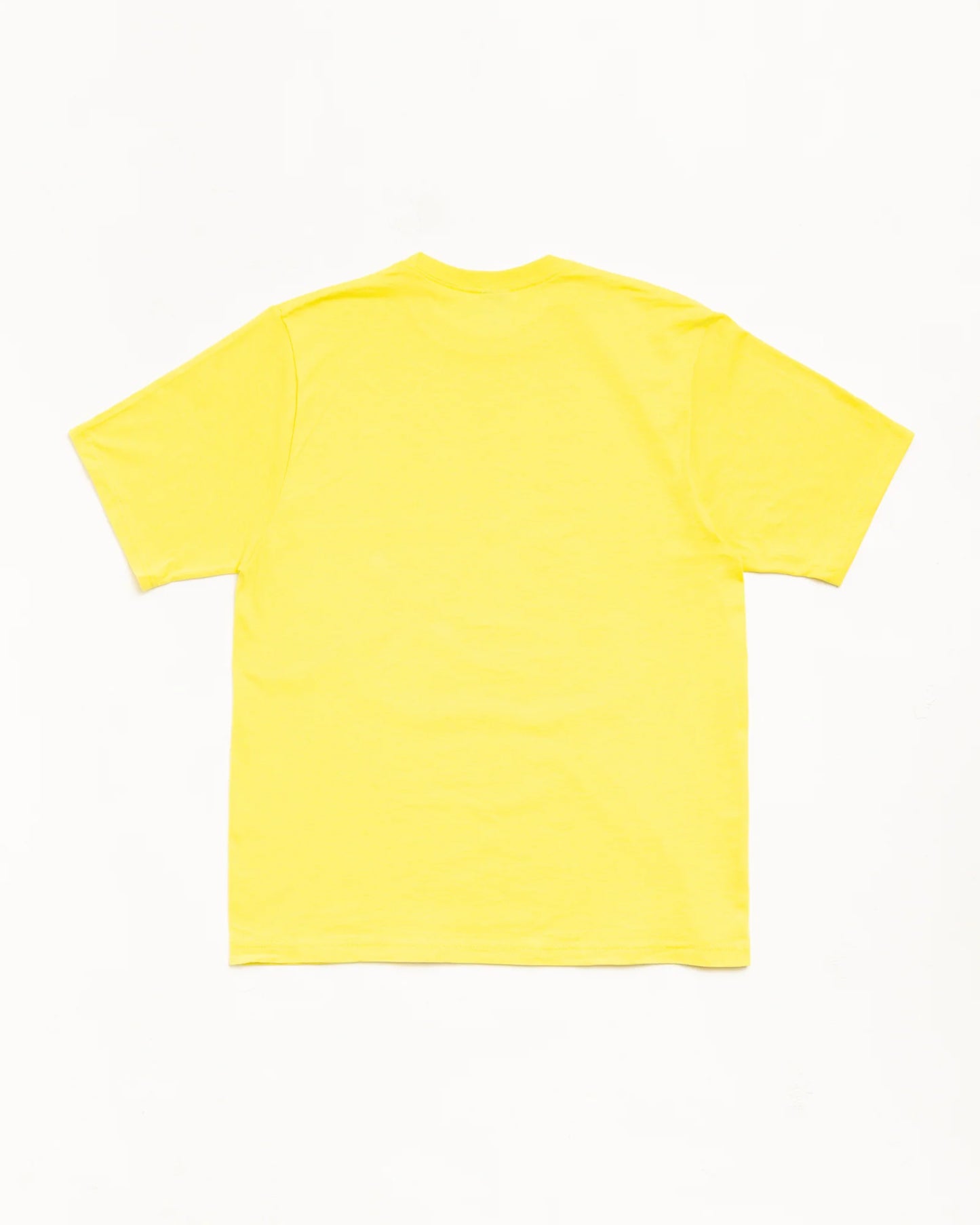 STUSSY CITRUS TEE